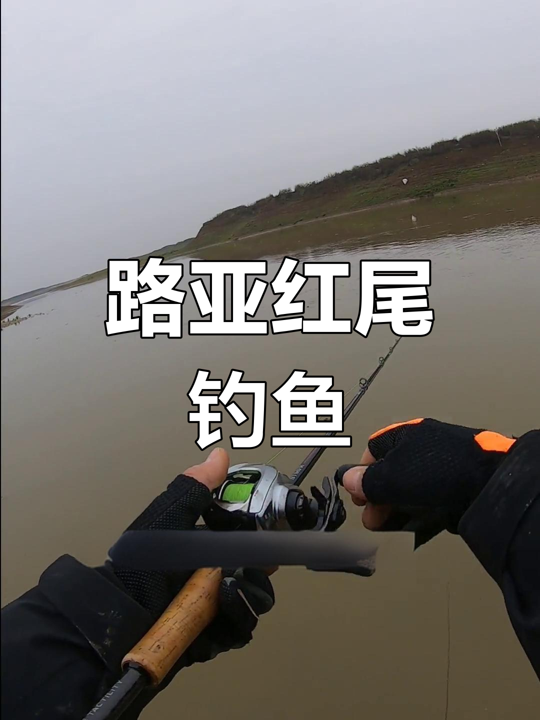 涨水如何路亚(涨水怎么路亚)