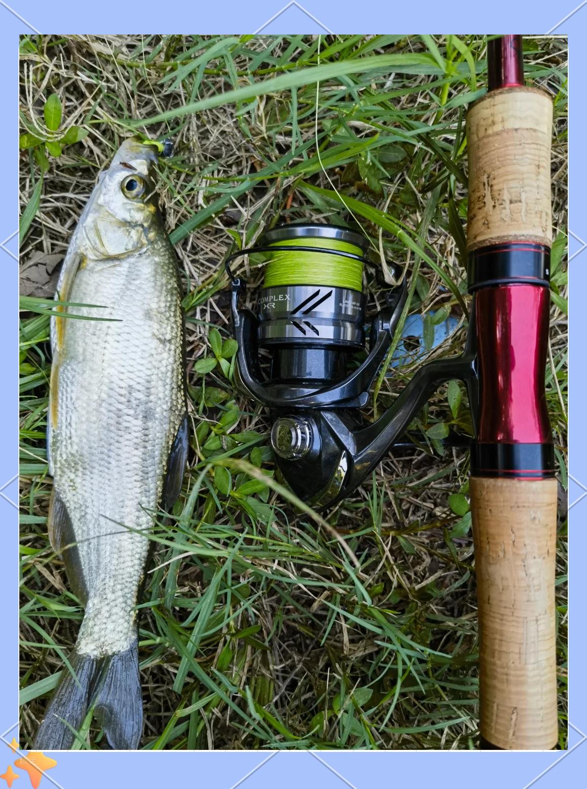 涨水如何路亚(涨水怎么路亚)