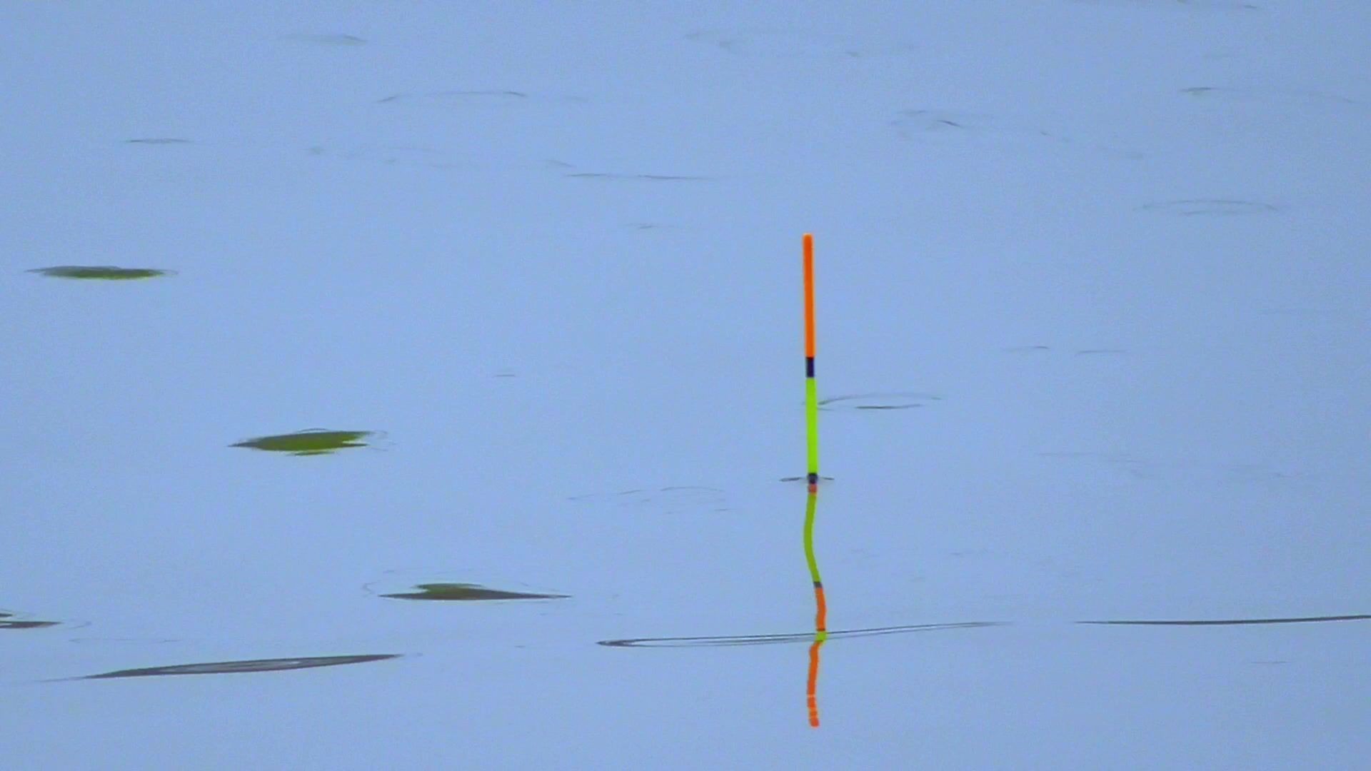 钓深水餐条技巧(夏天钓餐条的深度)