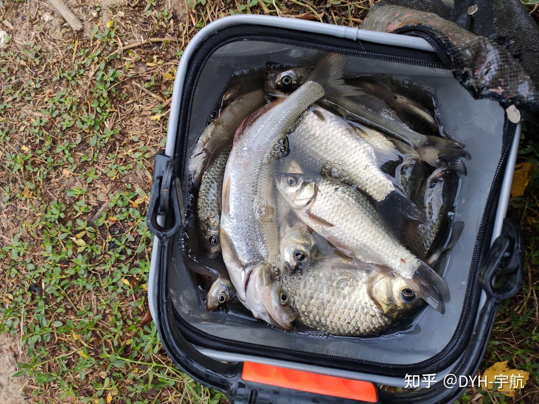 昆明航天渔具店电话(昆明航天酒店电话) 昆明航天渔具店电话(昆明航天酒店电话)