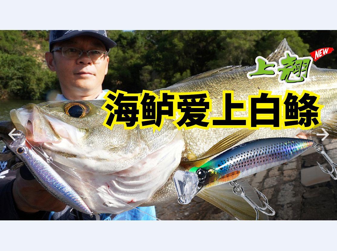 路亚钓旗鱼(旗山st路亚钓鱼场)