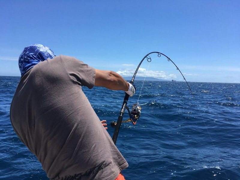 海钓波趴线视频(海钓线组组装图解)