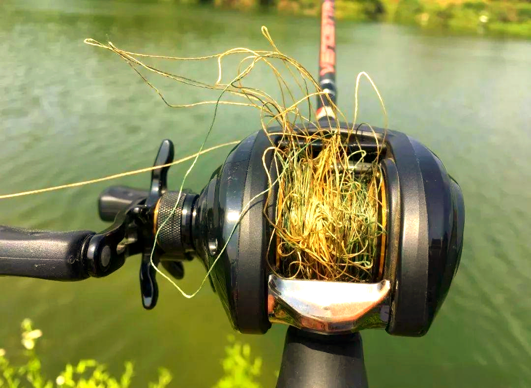 路亚甩干视频(路亚新手入门教程甩杆视频) 路亚甩干视频(路亚新手入门教程甩杆视频)