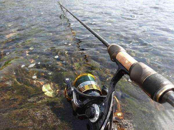 文登哪里可以路亚(海钓用什么硬度的路亚竿)