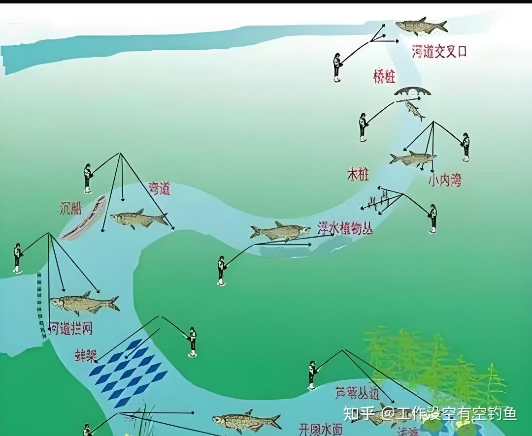 深秋浮钓翘嘴的技巧(深秋钓鱼怎样调鱼浮)