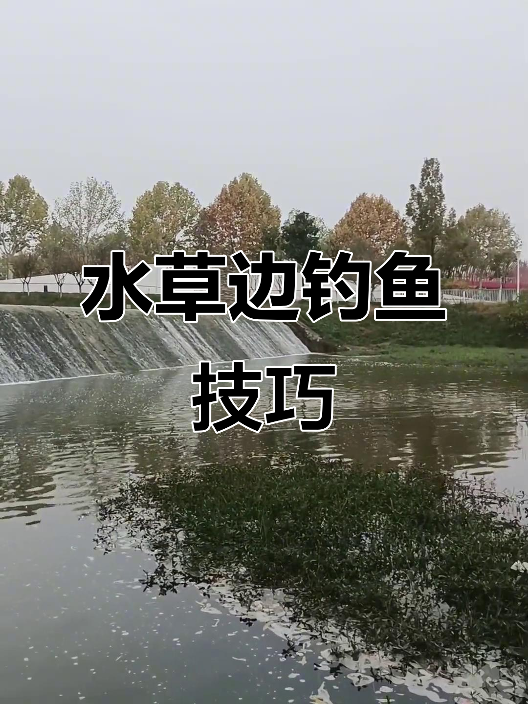 在水草边钓鱼技巧(在水草边钓鱼技巧图解)