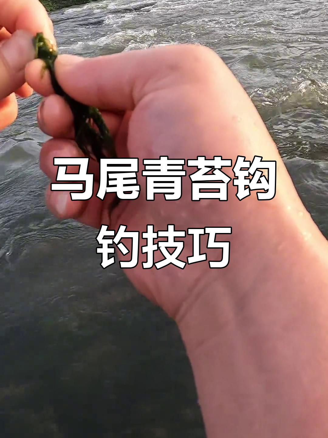 在水草边钓鱼技巧(在水草边钓鱼技巧图解)