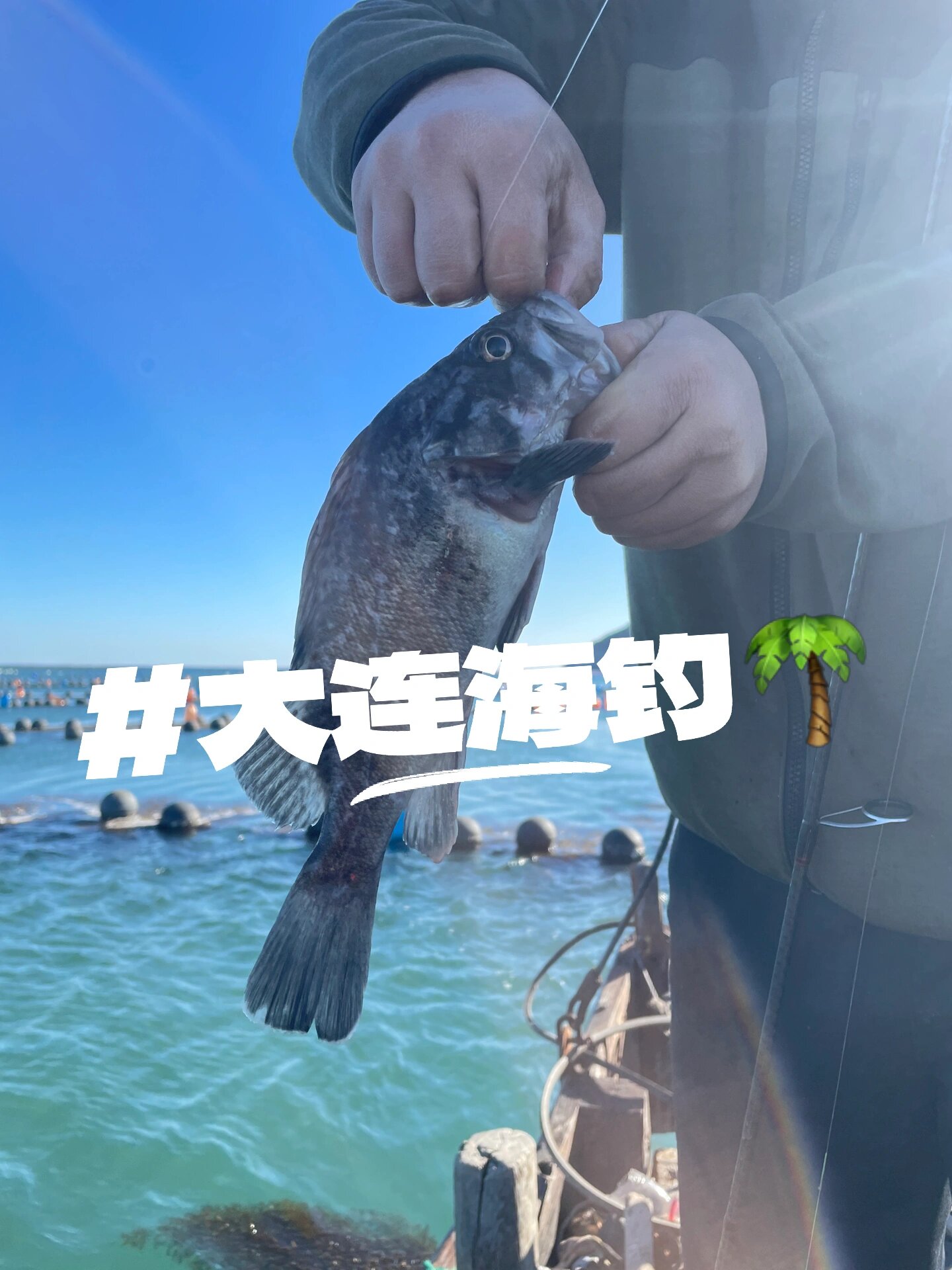 蓬莱可以海钓吗(蓬莱钓点)