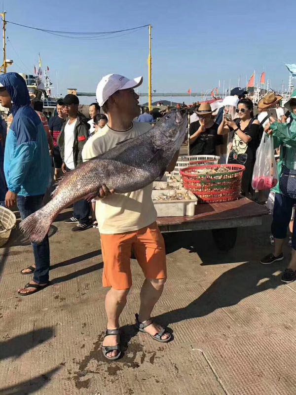 珠海桥墩海钓船佬(珠海哪里可以免费海钓)