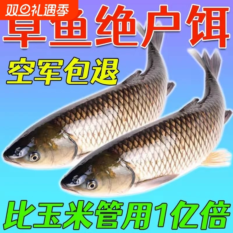 夏天野钓饵料(夏天野钓饵料野钓专用)