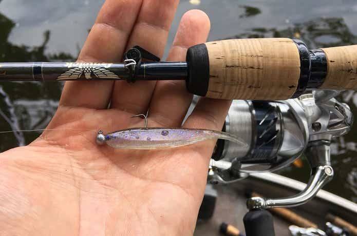 气温低路亚鲈鱼(路亚鲈鱼水温多少最好)