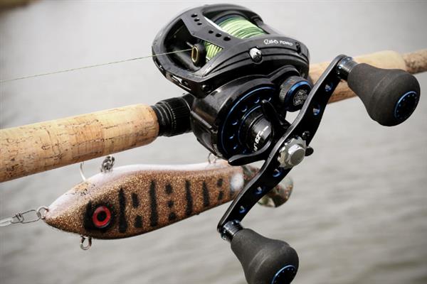 路亚竿钓什么鱼(路亚竿用什么饵料钓鱼)