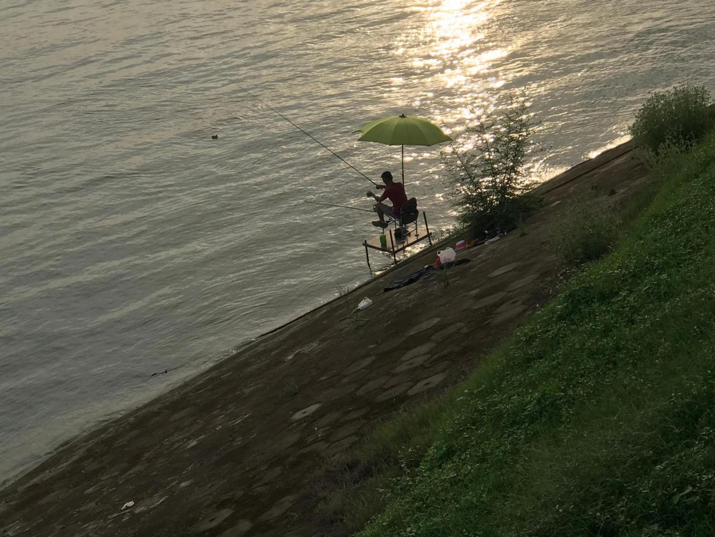 秋季长江野钓技巧(经典野钓老三样开法)