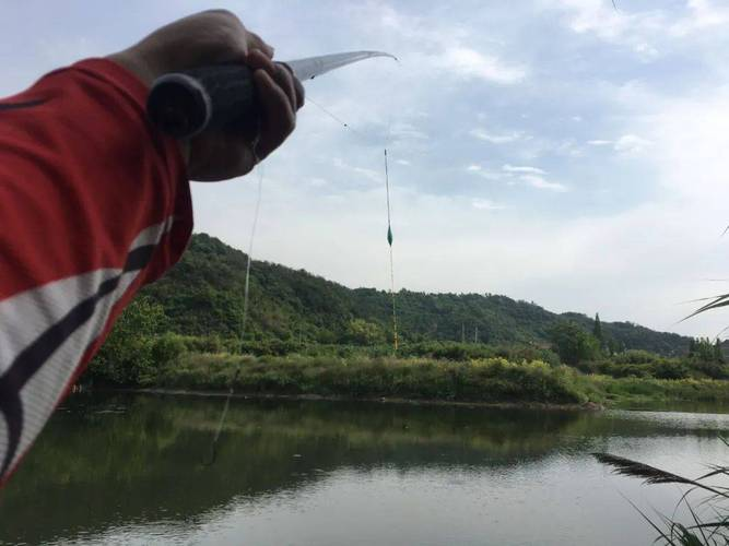 水库钓鱼打窝子技巧(水库钓鱼怎样打窝钓大鱼)