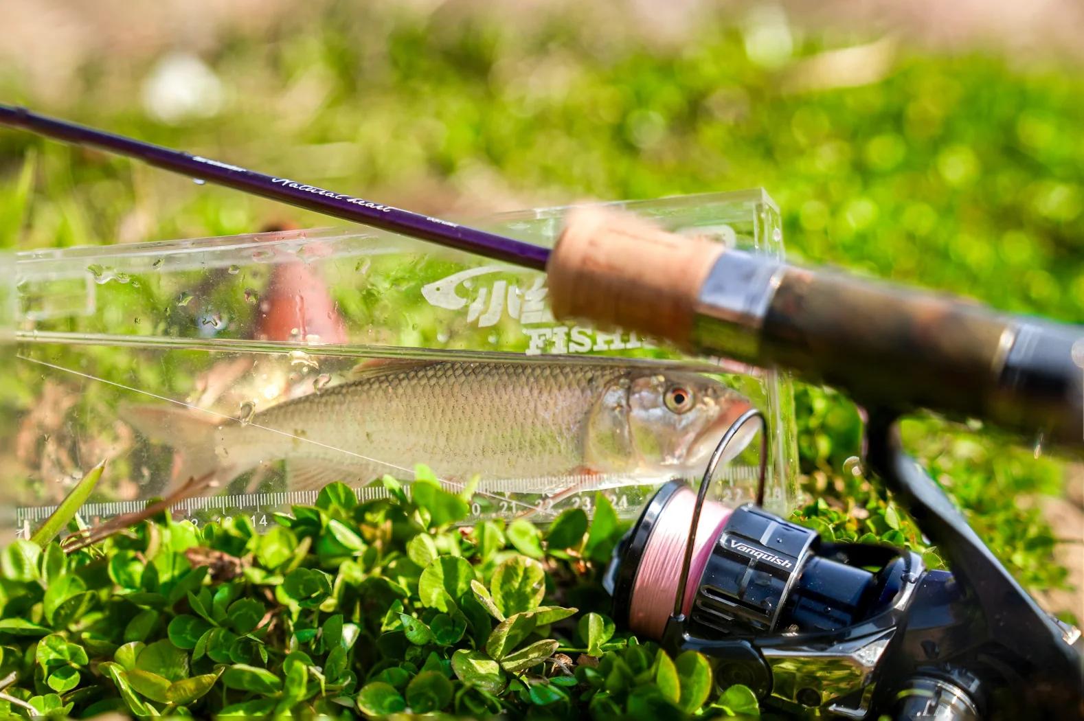 威海钓鱼最佳地点(威海钓鱼的好地方吗)