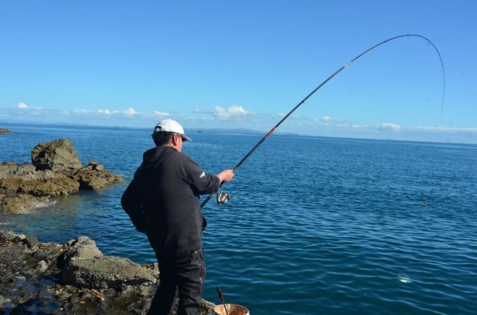 澳洲海钓最好的地方(澳洲海钓最好的地方是哪里) 澳洲海钓最好的地方(澳洲海钓最好的地方是哪里)