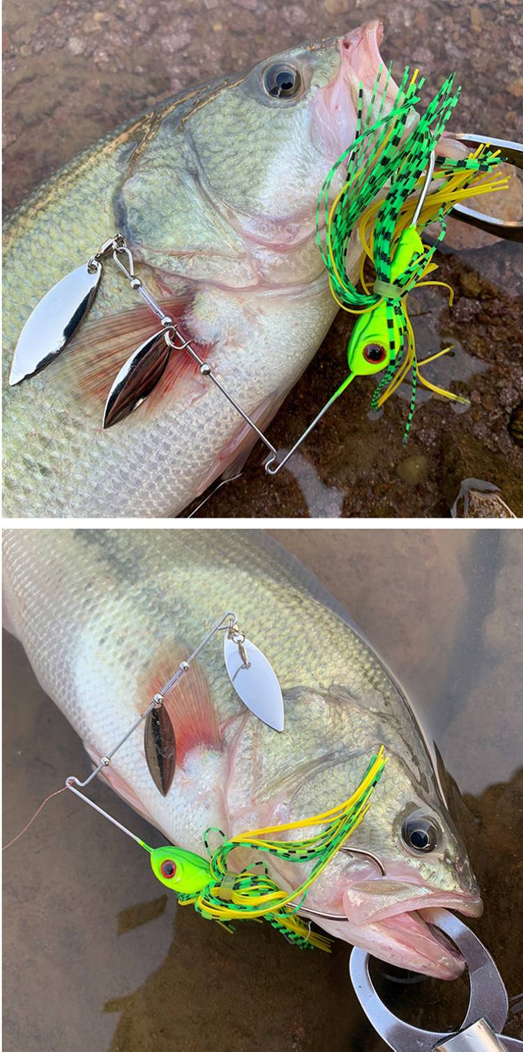 路亚用的饵(路亚用饵选择)