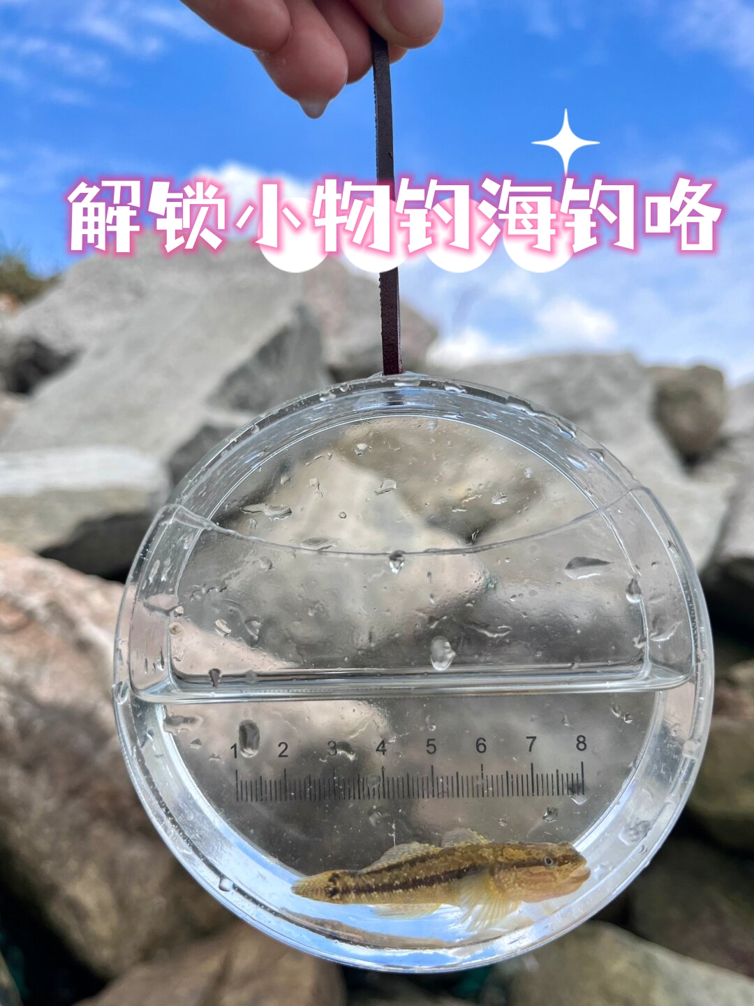 海钓用小鱼做鱼饵(海鱼钓饵配方)