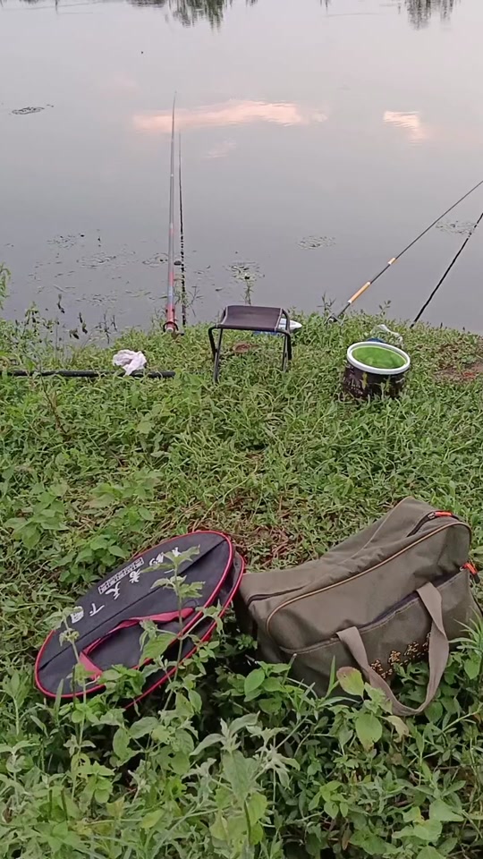 仲夏小浪底夜钓技巧(解决夜钓无口的技巧) 仲夏小浪底夜钓技巧(解决夜钓无口的技巧)