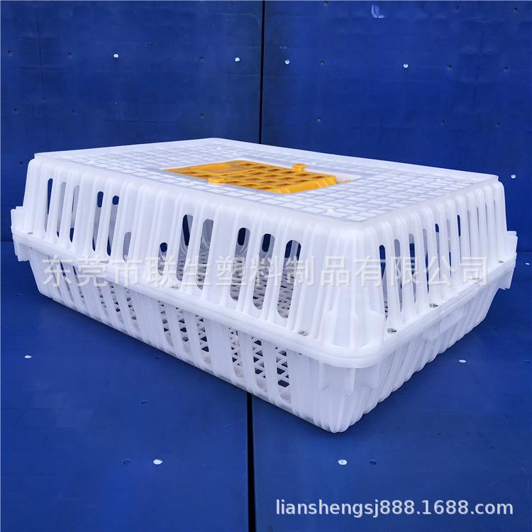 西安森森渔具店(西安森森户外休闲用品有限公司)