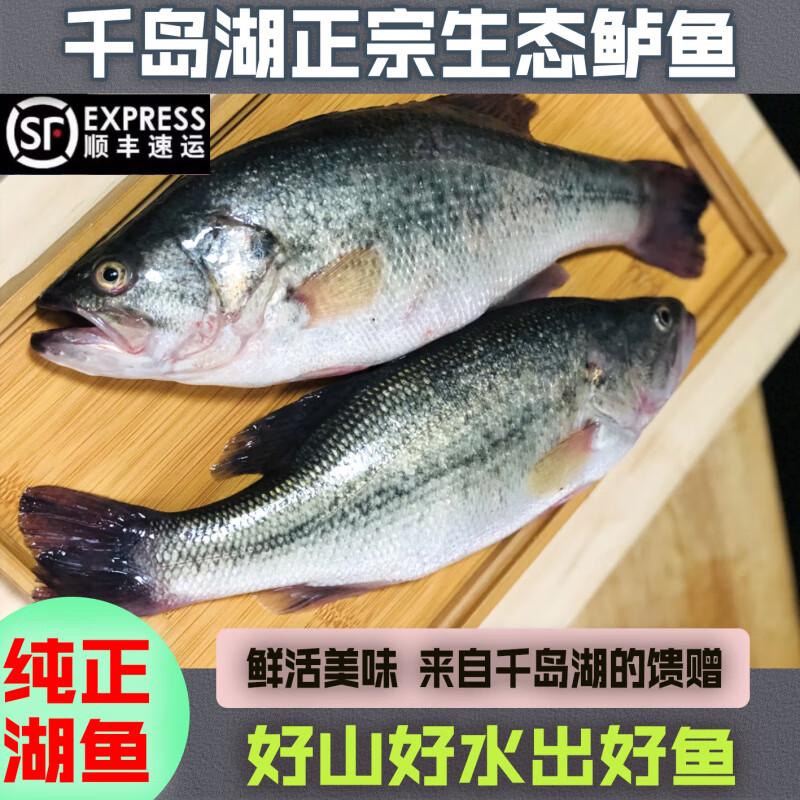 长途运输淡水鲈鱼技巧(长途运输成品鲈鱼技巧)
