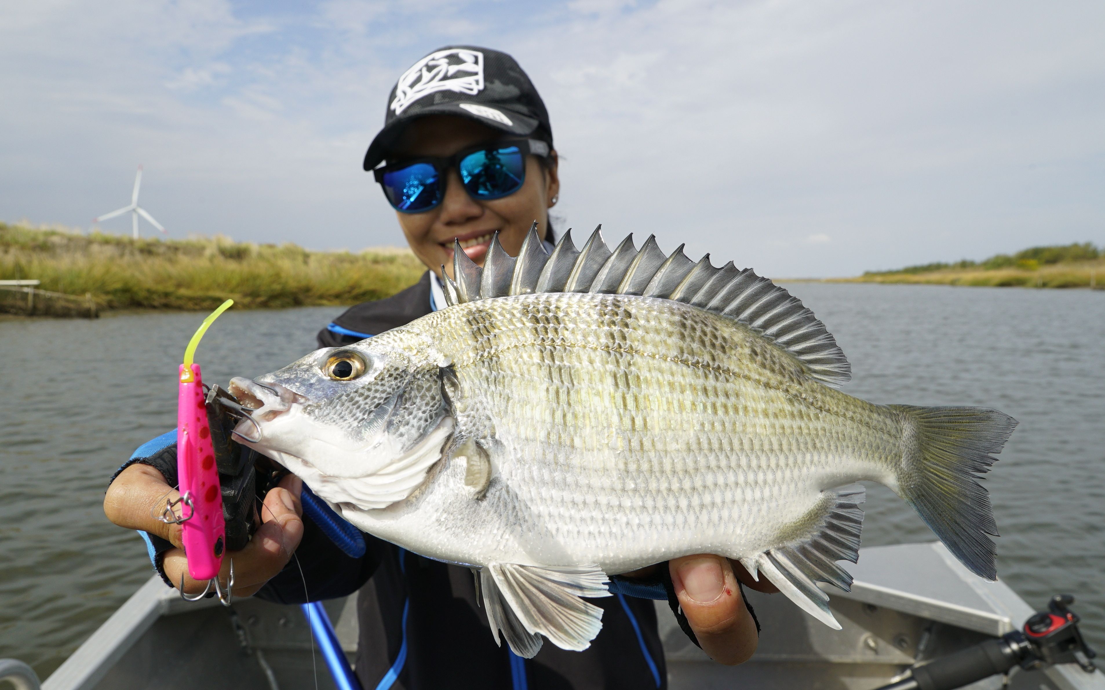 蓝刀鱼路亚(蓝刀鱼 路亚)
