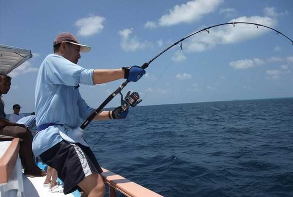 马尔代夫海钓美文(马尔代夫钓鱼视频) 马尔代夫海钓美文(马尔代夫钓鱼视频)