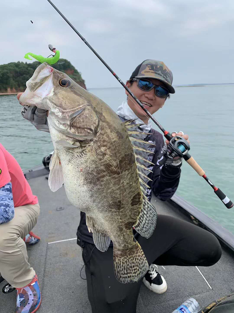 路亚夏总(初夏路亚)