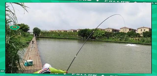 黑坑偷驴小技巧(黑坑偷驴的正确钓法)