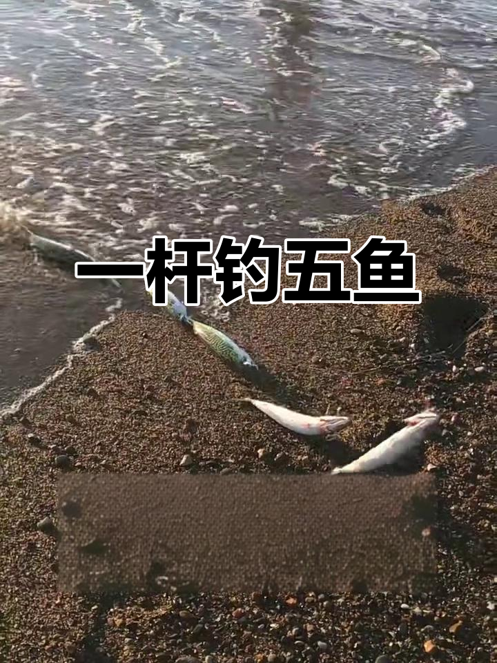 5可以海钓(海钓可以浮钓吗?要钓多深合适)