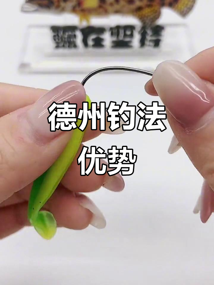 德州钓组使用技巧(德州钓组钓法) 德州钓组使用技巧(德州钓组钓法)