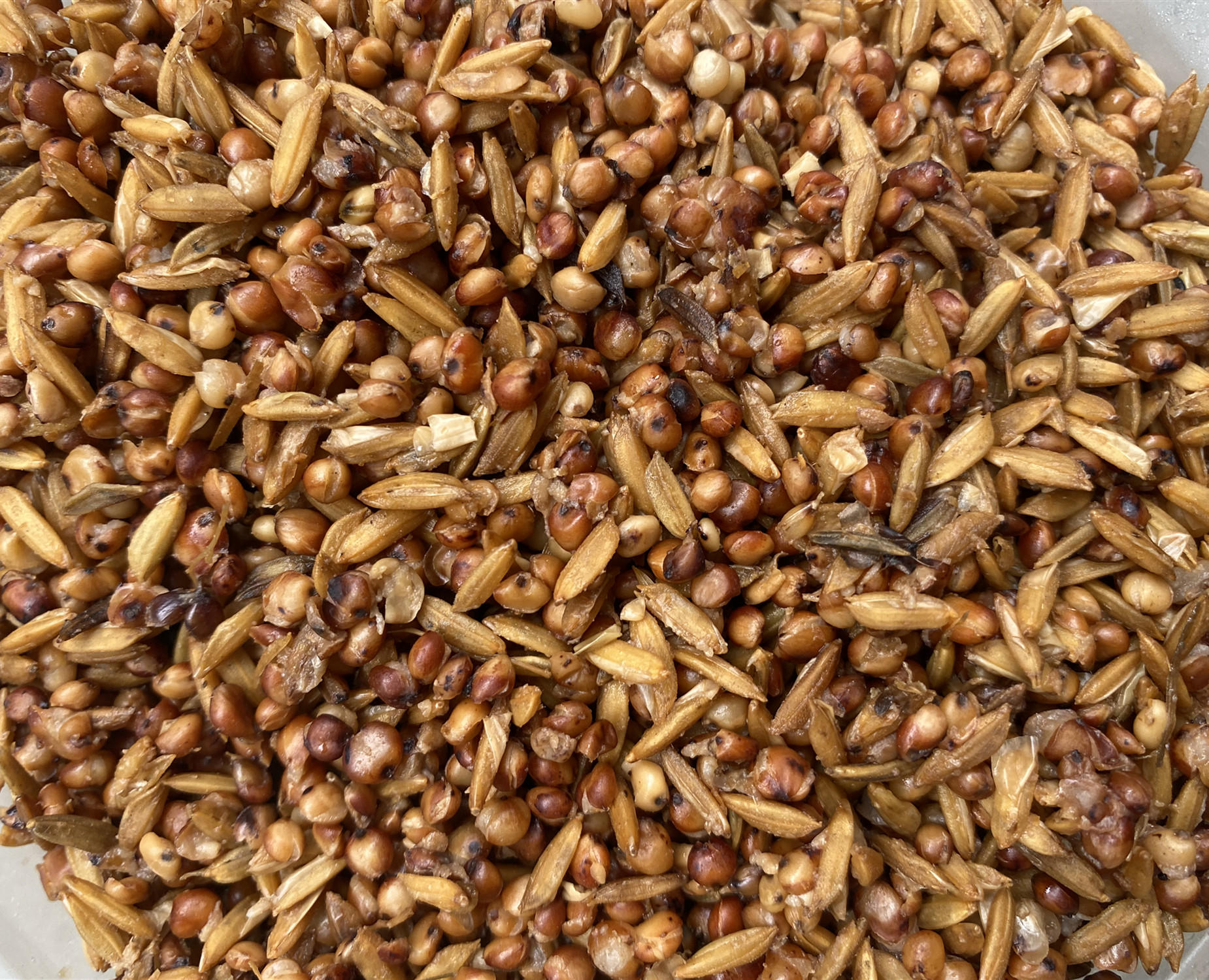 秋天酒香行饵料(酒香饵料适合什么季节)