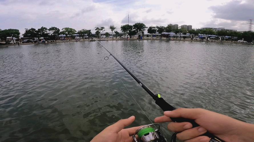 中山东升海钓场(中山港口野钓地方推荐)