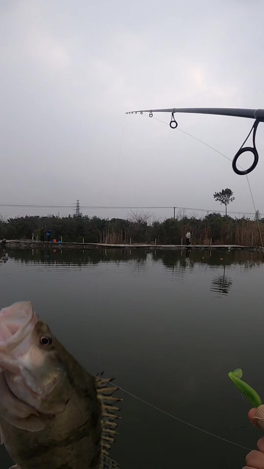 重庆路亚水库(重庆路亚钓场有哪些)