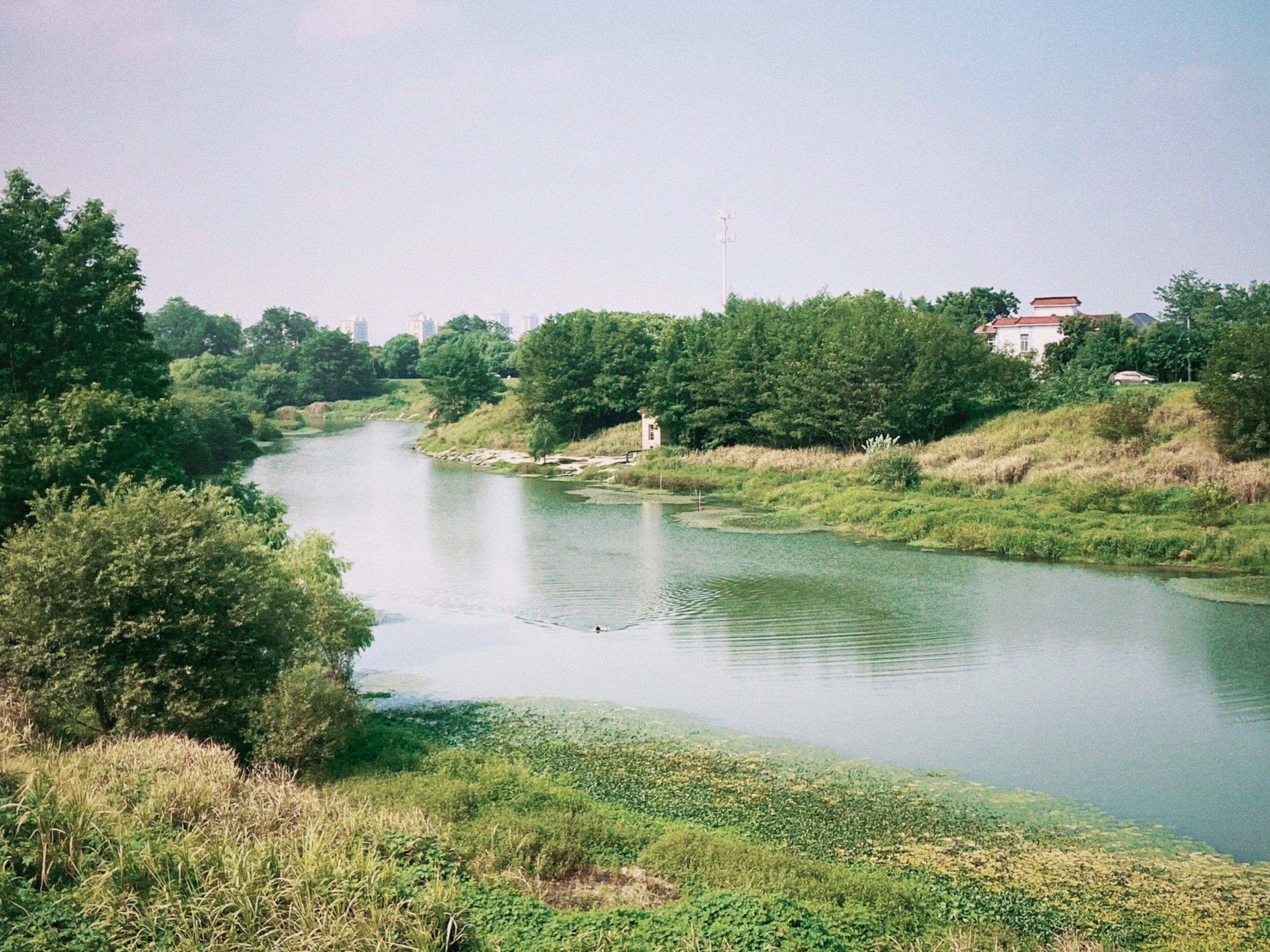 杭州沼溪路亚(路亚渔轮品牌十大排名)