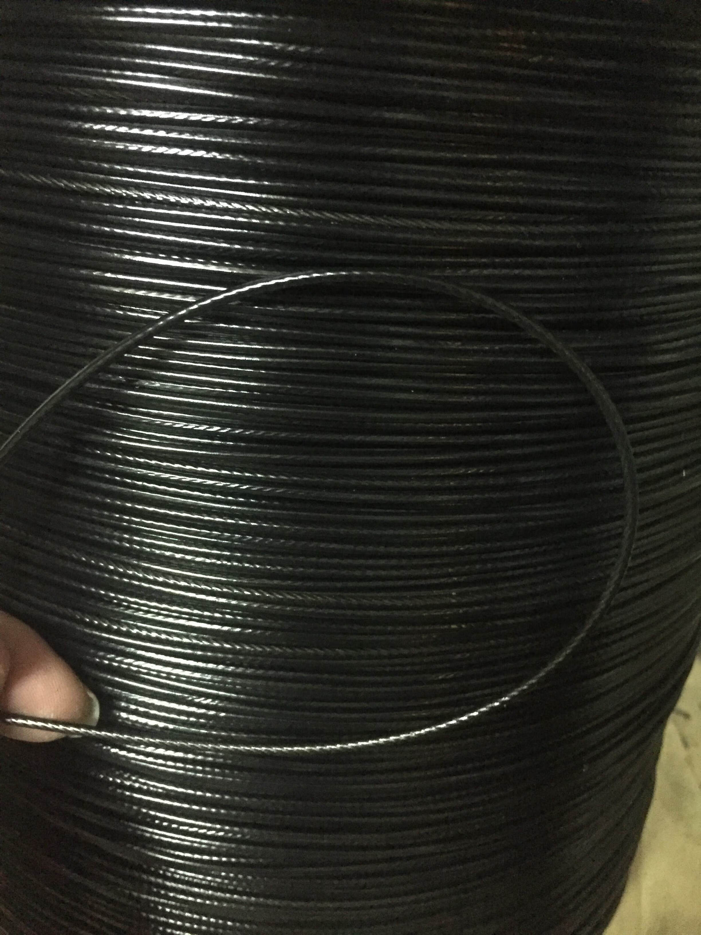 海钓钢丝线(钓海狼钢丝线)