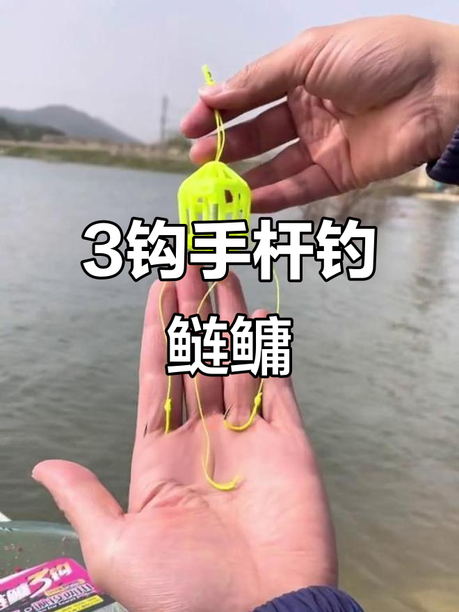 手竿底钓钓鲢鳙技巧(手竿底钓钓鲢鳙技巧视频)