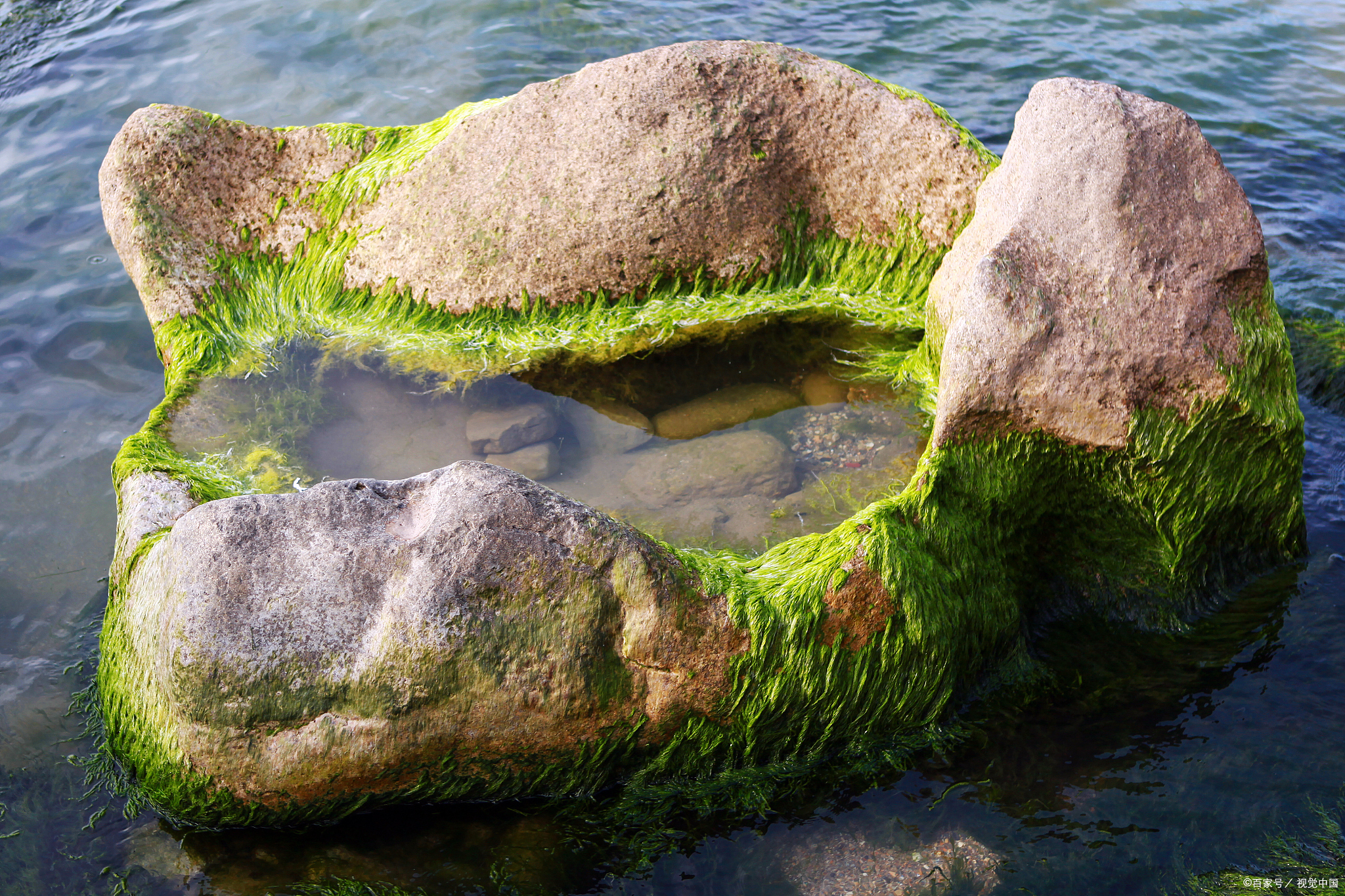 卡路亚之沼(卡路亚手表)