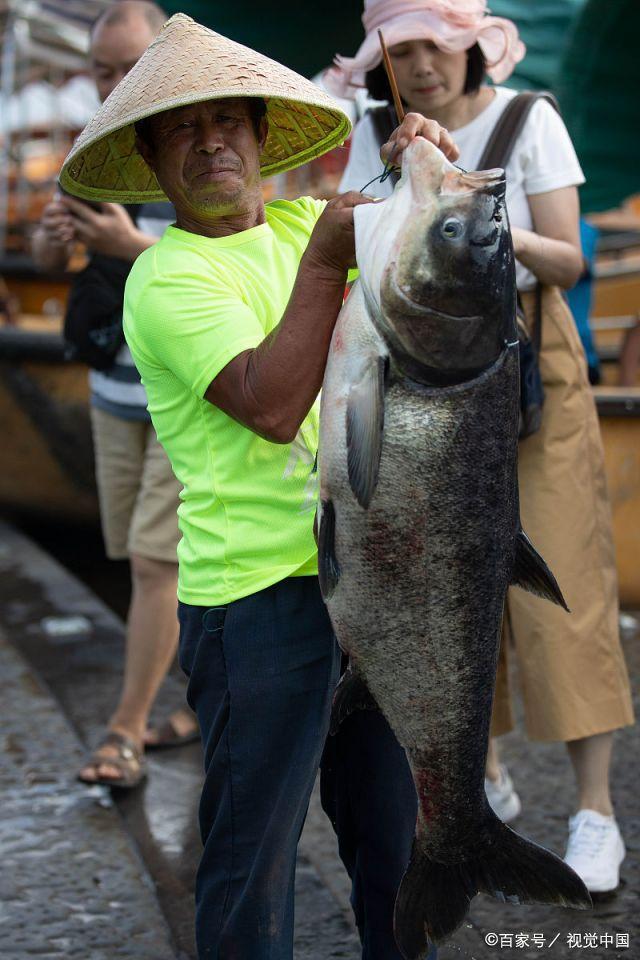 西昌邛海钓鱼罚款(西昌邛海钓鱼证)