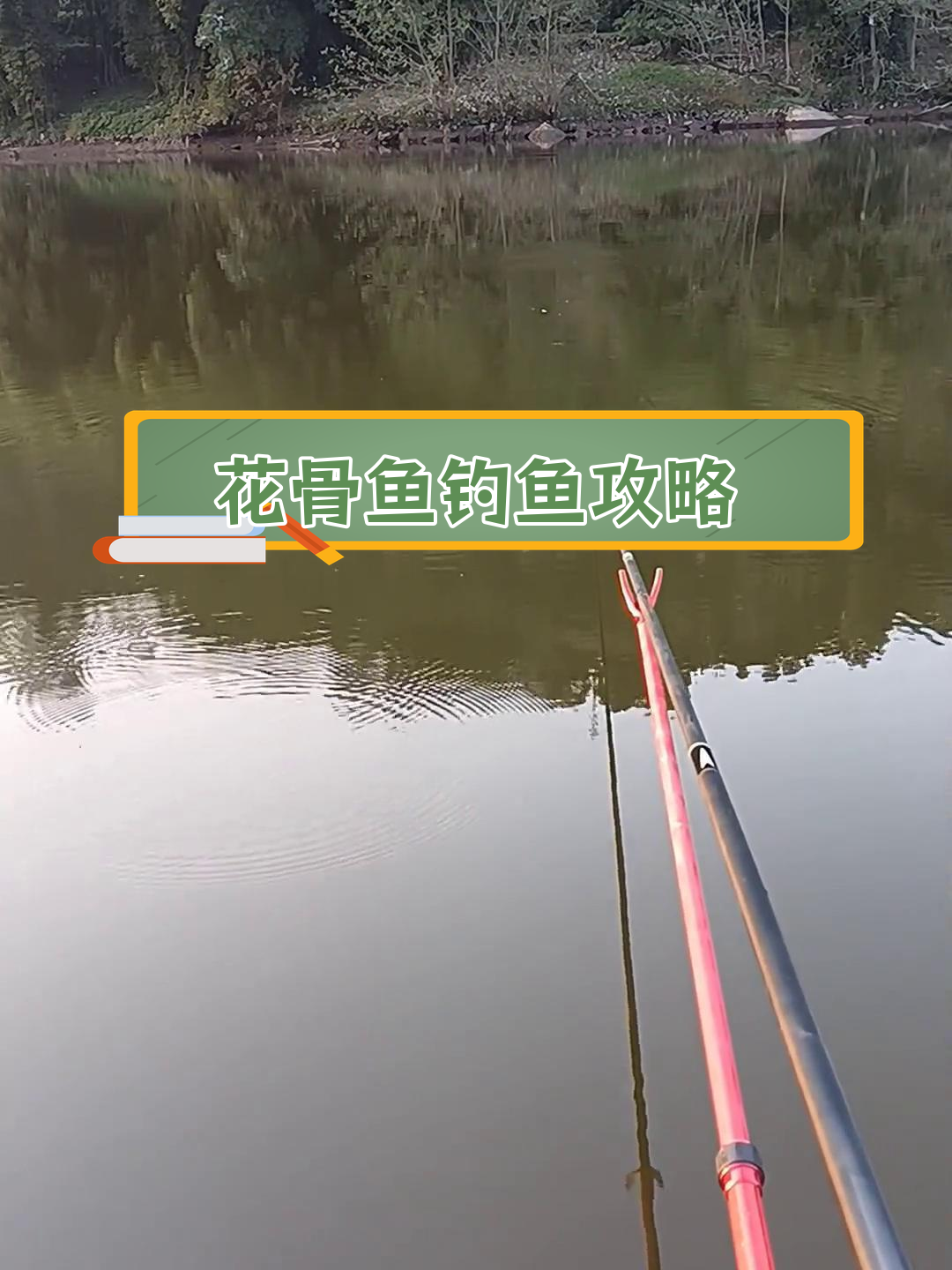 长江夜钓技巧(夜钓最佳钓位口诀)