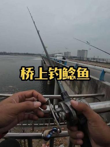 路亚钓鲶鱼怎么钓(路亚钓鲶鱼用什么饵最好视频) 路亚钓鲶鱼怎么钓(路亚钓鲶鱼用什么饵最好视频)