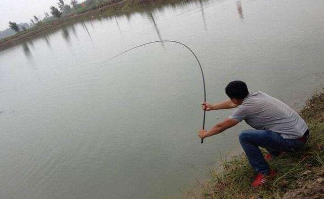 8字遛鱼技巧(8字溜鱼技巧图解)