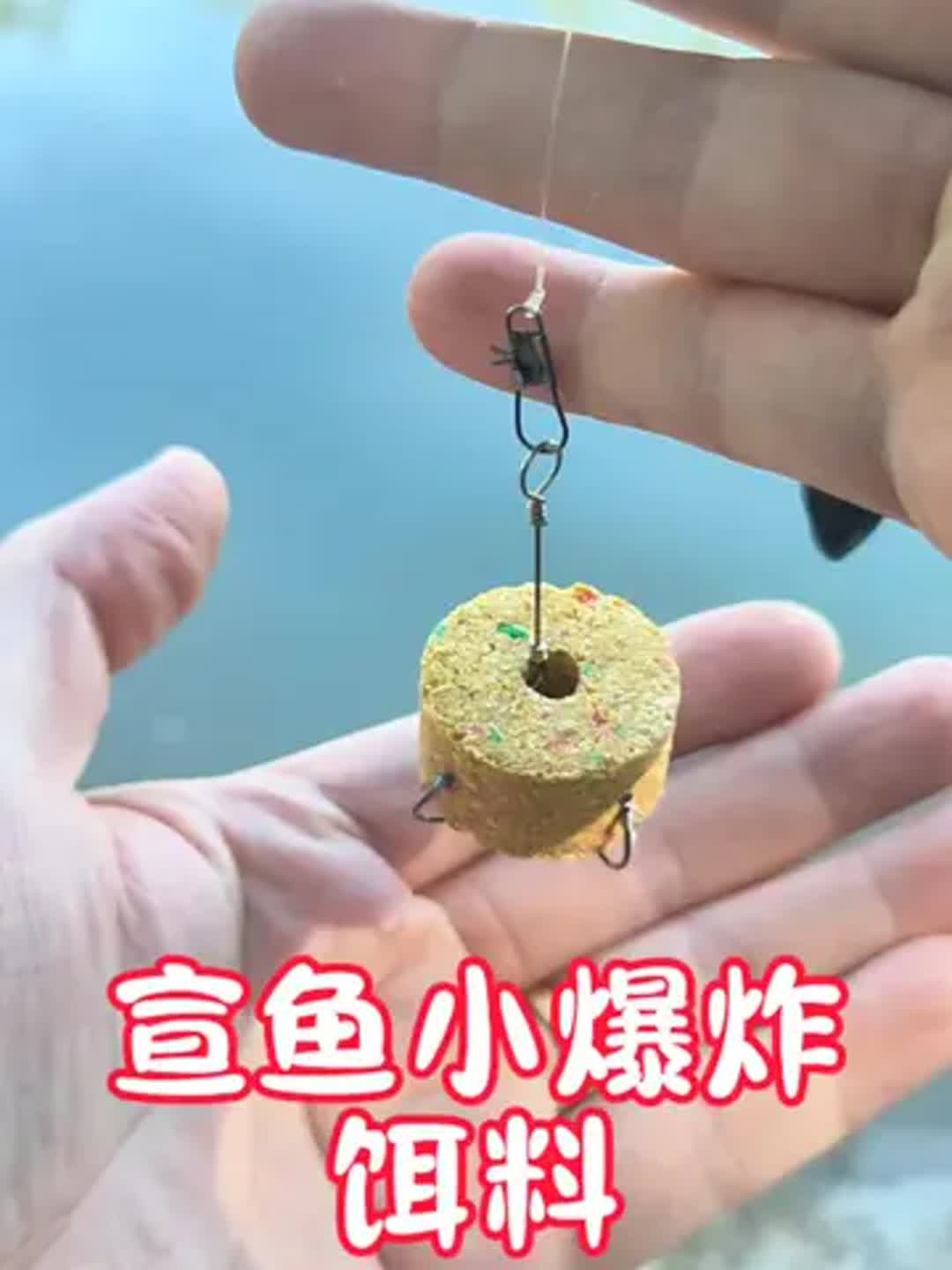 深秋肥水用什么饵料(秋天肥水怎么样钓鲫鱼)