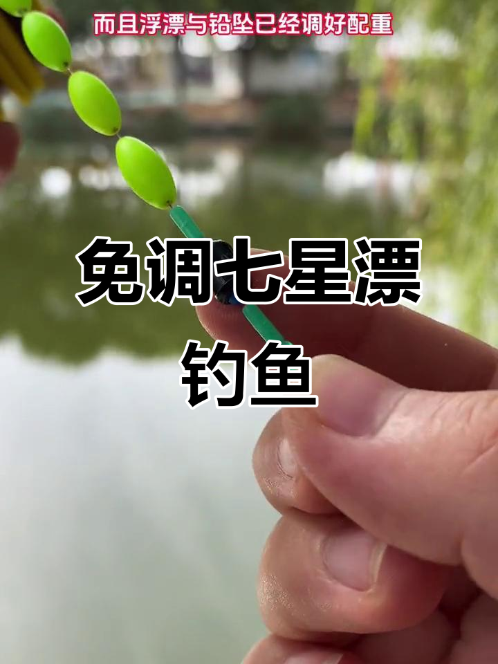 七星钓鲫鱼技巧(七星钓鲫鱼技巧大全)