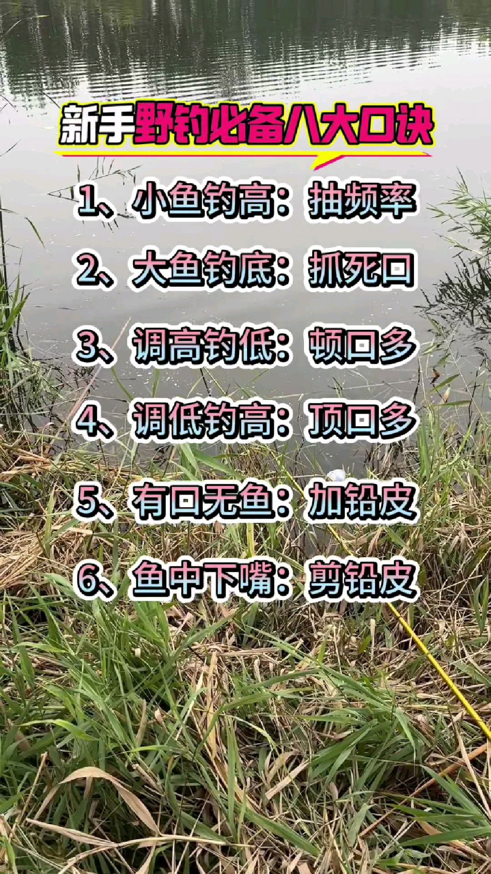 清明节后钓乌鱼技巧(清明后钓鱼钓深还是钓浅)