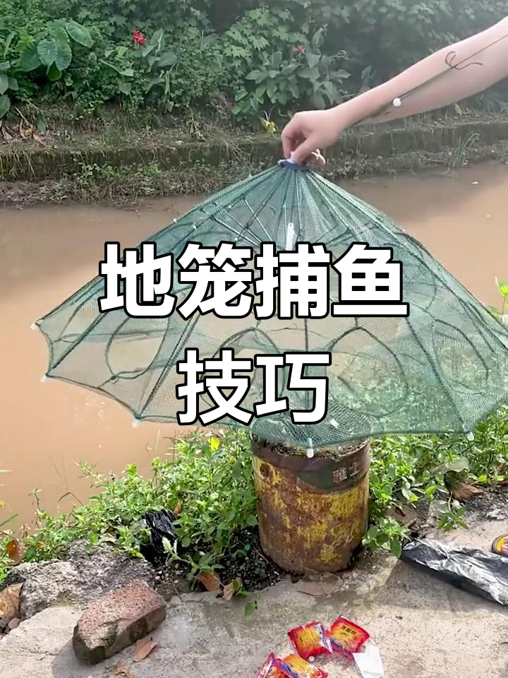 鱼虾笼投放技巧(鱼虾笼用什么饵料最佳)