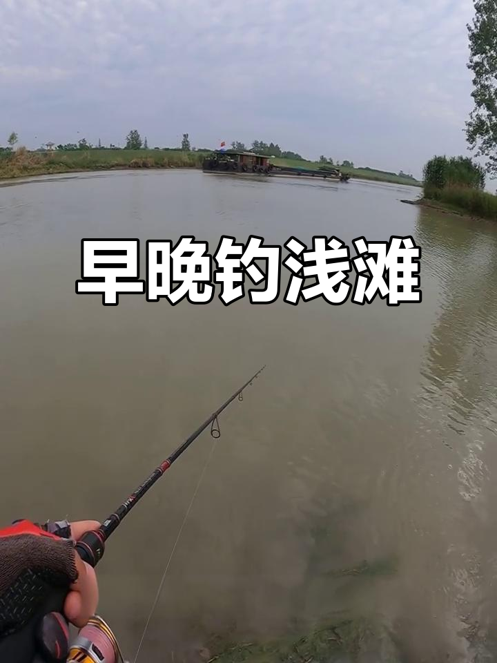 夏季钓浅滩技巧(浅滩钓鱼多少深度最适合)