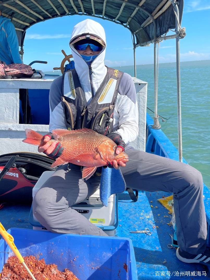 海钓7天(大风天海钓)