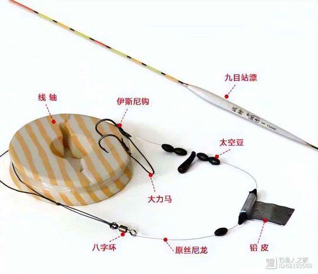 海钓布线子线(海钓子线缠绕怎么解决)