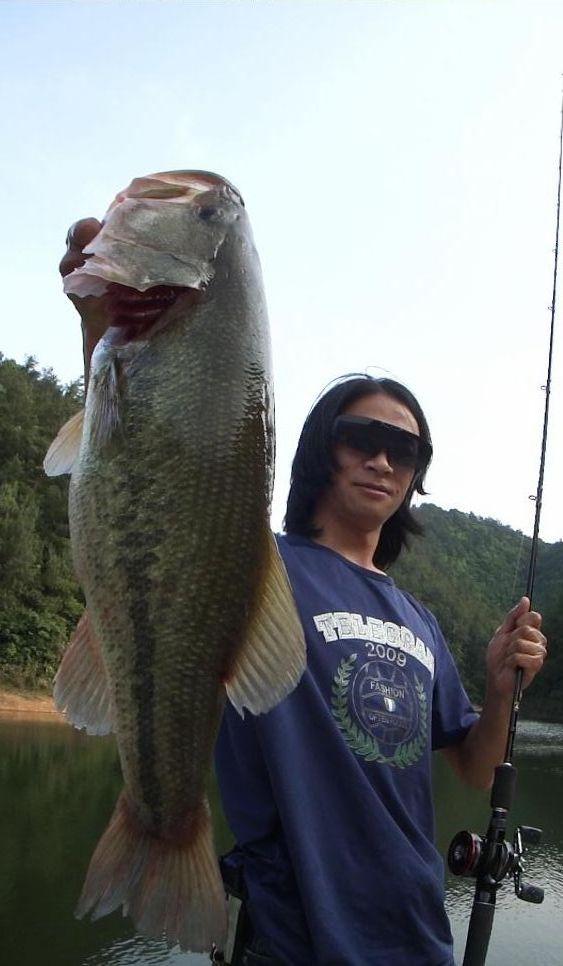 5路亚排骨(猪排骨前排和后排的区别)